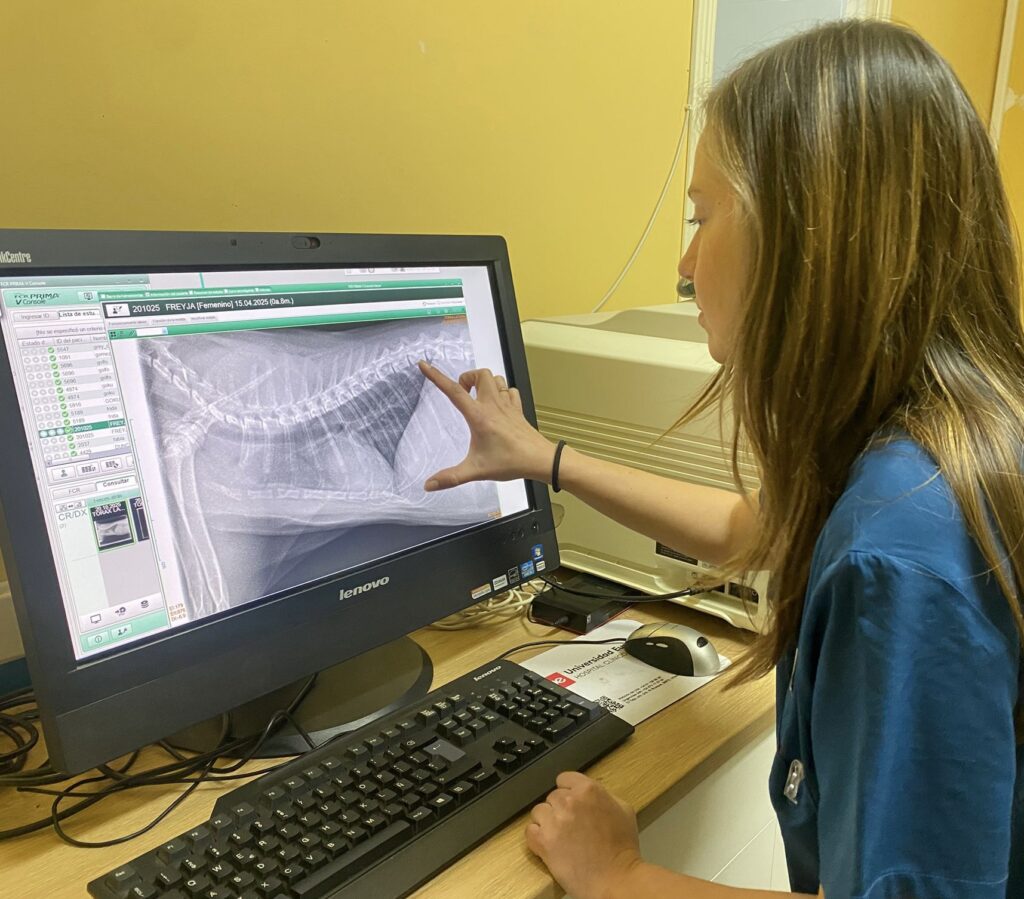 DIAGNOSTICO POR IMAGEN