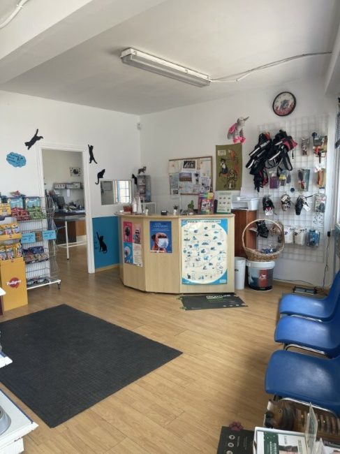 Recepción de clínica veterinaria Valdemorillo Valdevet