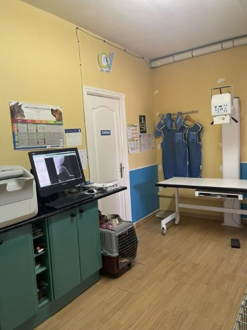 Sala de radiografias de clínica veterinaria Valdemorillo Valdevet