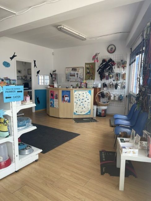 sala de espera perros clinica valdevet valdemorillo